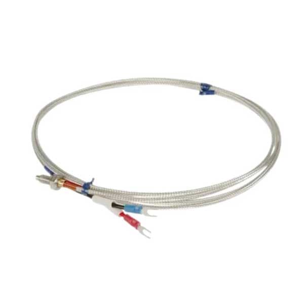 Dây dò nhiệt độ Omron E52-CA1DY 2M (loại K, đầu dò 1cm)