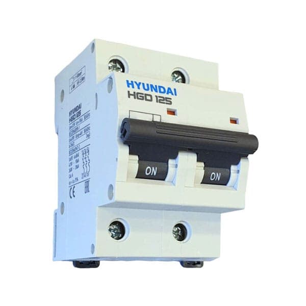 MCB Hyundai HGD125 2P 80A 10kA